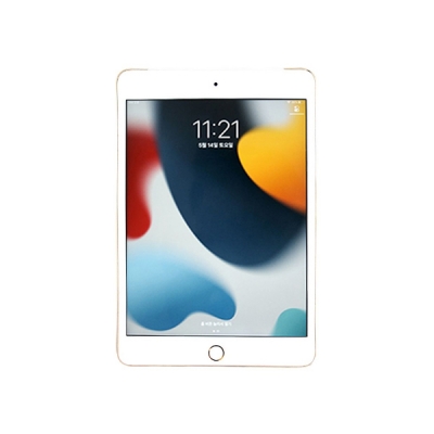 (중고) iPad mini 4세대 64GB Wi-Fi